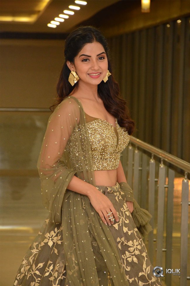 Kashmira-at-Nartanasala-Pre-Release-Event